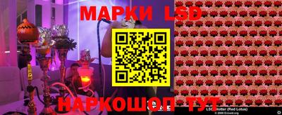 винт Новокубанск