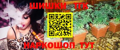 дмт Новодвинск