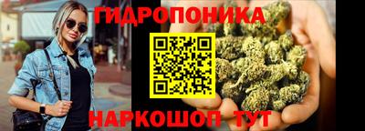 винт Новокубанск