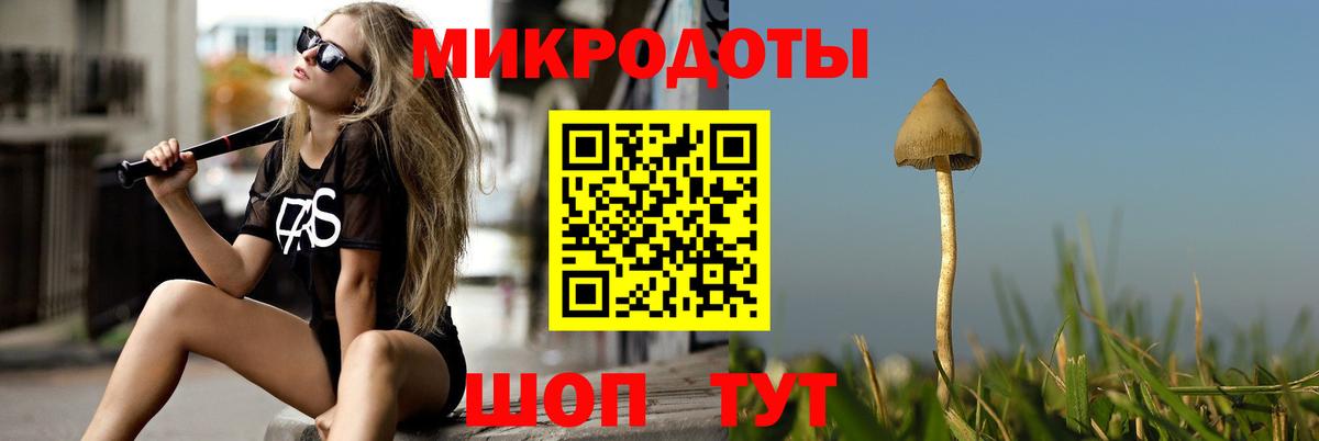 сколько стоит  Псилоцибиновые грибы ЛСД  Вход с VPN  Фурманов 